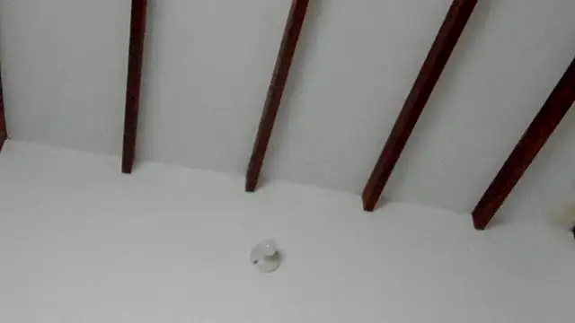 Dio  morningstar online show from February 8, 2026, 9:34 pm