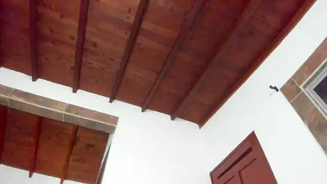 Snapshot of Jave_rave chatting on March 31, 2026, 3:41 am Jave rave online show from March 31, 2026, 3:41 am