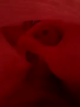 Kingaandqueenn online show from December 17, 2025, 9:03 am