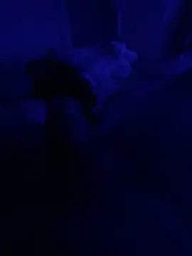 darknebula80 online show from February 10, 2026, 9:14 pm