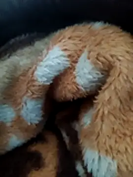 Snapshot of Hotboylumia_825321 chatting on December 20, 2025, 1:14 pm Hotboylumia 825321 online show from December 20, 2025, 1:14 pm