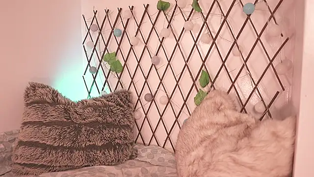 Mackenzie Lia online show from November 28, 2025, 7:25 pm