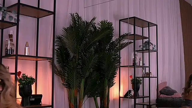 AishleyBee online show from November 27, 2025, 12:38 pm