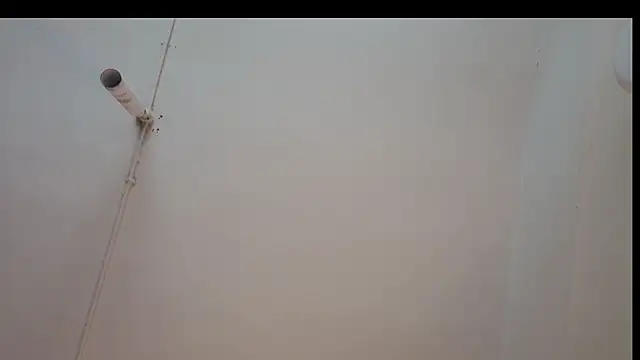 ShyColette online show from November 22, 2025, 3:27 am