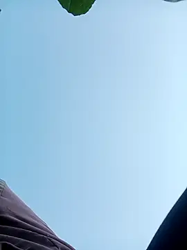 Snapshot of nangmo chatting on November 30, 2025, 12:11 am nangmo online show from November 30, 2025, 12:11 am