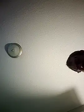 Snapshot of mr_girthyandsweetcheeks chatting on February 13, 2026, 6:35 am mr girthyandsweetcheeks online show from February 13, 2026, 6:35 am