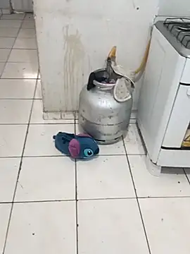 Snapshot of _-_-_gostosa_-_- chatting on November 26, 2025, 12:05 pm - - gostosa - - online show from November 26, 2025, 12:05 pm