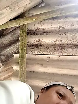 Snapshot of hey-bana chatting on December 17, 2025, 3:33 am hey-bana online show from December 17, 2025, 3:33 am