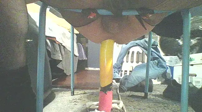 xxxenzo1 online show from March 18, 2025, 7:01 am