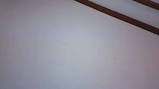 IsaSantoDomingo online show from February 18, 2026, 6:48 pm