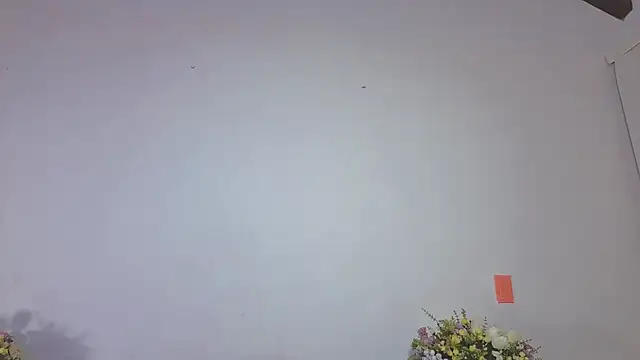 IsaSantoDomingo online show from February 16, 2026, 6:50 pm