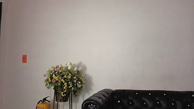 IsaSantoDomingo online show from February 7, 2026, 10:51 pm