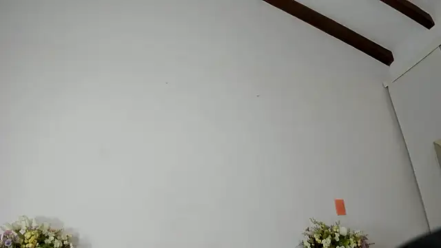 IsaSantoDomingo online show from January 17, 2026, 11:08 pm