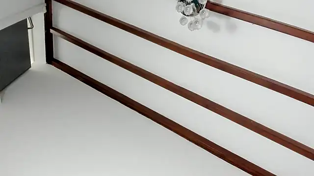 IsaSantoDomingo online show from February 26, 2026, 8:31 pm