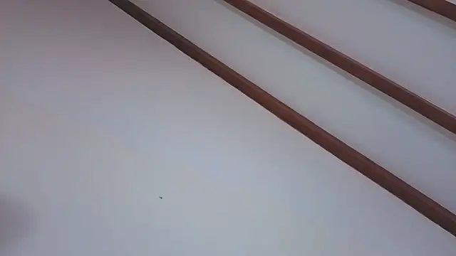 IsaSantoDomingo online show from February 5, 2026, 9:54 pm