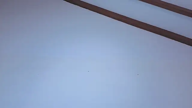 IsaSantoDomingo online show from February 10, 2026, 6:51 pm