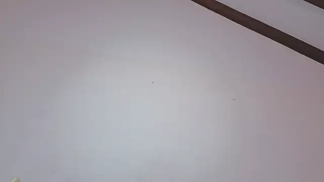 IsaSantoDomingo online show from February 11, 2026, 7:25 pm