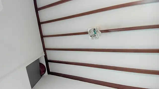 IsaSantoDomingo online show from January 31, 2026, 10:52 pm