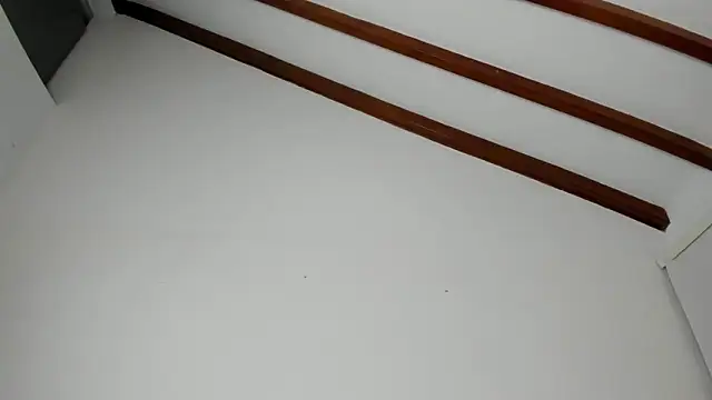 IsaSantoDomingo online show from February 21, 2026, 11:51 pm