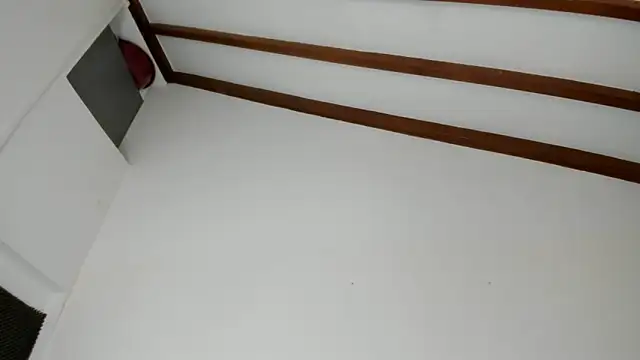 IsaSantoDomingo online show from February 3, 2026, 6:35 pm