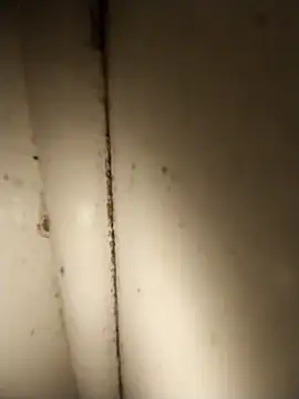 AdvancedRoster online show from April 21, 2026, 3:18 pm