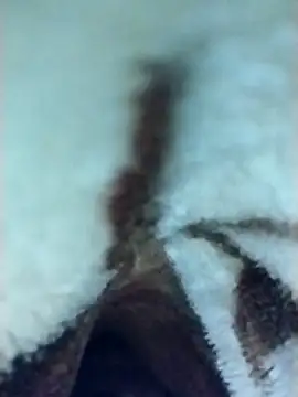 Harry254238 online show from January 6, 2026, 5:50 pm