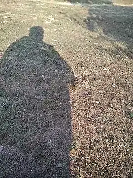 88zaifkhan88 online show from January 14, 2026, 3:32 am