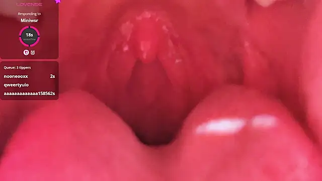 LT-333 online show from February 26, 2026, 5:24 pm