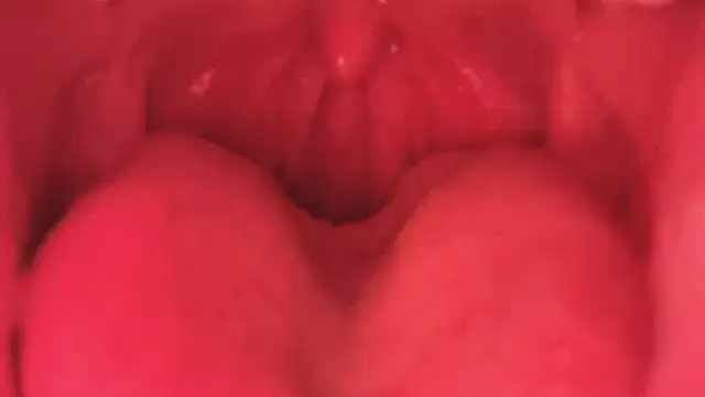 LT-333 online show from January 11, 2026, 3:52 pm