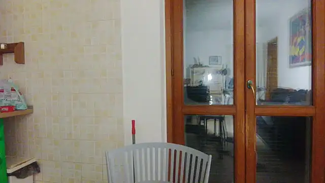 Snapshot of AMIRDIB2025 chatting on March 13, 2026, 12:04 am AMIRDIB2025 online show from March 13, 2026, 12:04 am