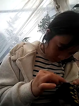 Snapshot of Alibabapi chatting on February 25, 2026, 7:41 am Alibabapi online show from February 25, 2026, 7:41 am