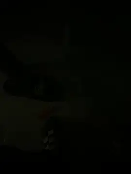 alianttey  online show from March 29, 2026, 3:08 am