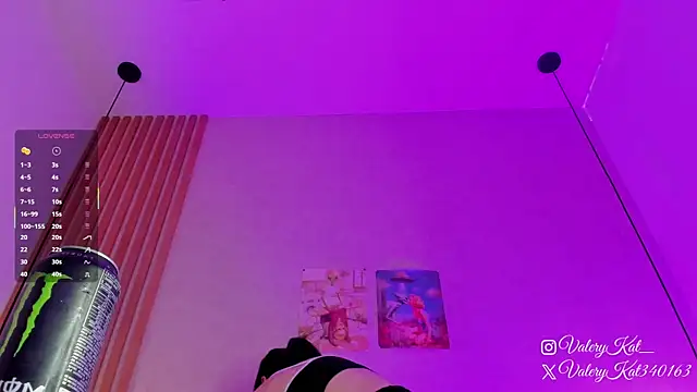 Snapshot of Valerykat_ chatting on February 21, 2026, 11:45 am Valerykat online show from February 21, 2026, 11:45 am