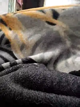 TwinklyBasket897 online show from December 14, 2025, 4:34 pm