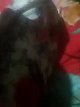 qeen3321 online show from November 29, 2025, 5:24 pm