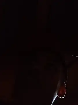 Negok1ng17cm online show from December 1, 2025, 1:56 pm