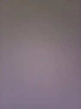 gatitachula93 online show from February 10, 2026, 1:54 pm