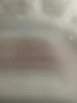 kral4531 online show from December 1, 2025, 3:46 pm