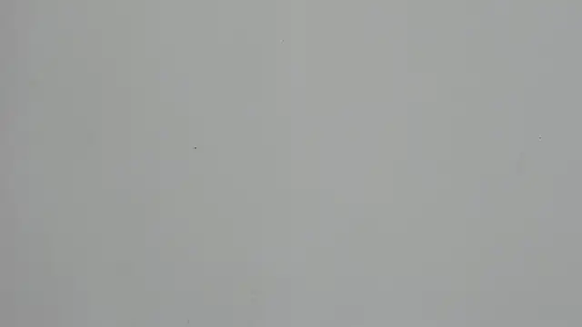 Ladymadinght online show from February 4, 2026, 2:01 pm