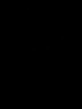 Piazza21 online show from March 16, 2026, 8:07 am