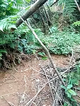 Snapshot of ava-dellght chatting on January 17, 2026, 2:37 am ava-dellght online show from January 17, 2026, 2:37 am