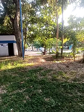 Mchljjk online show from January 5, 2026, 8:23 pm