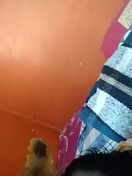 Nenis1224 online show from January 7, 2026, 2:11 pm