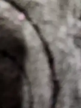 Miss pretty88 online show from February 12, 2026, 11:43 am