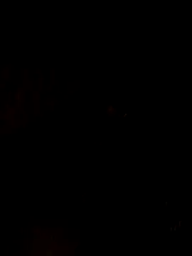 nehakapoor89 online show from December 14, 2025, 7:41 pm