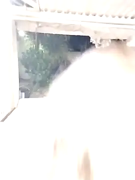 Snapshot of SexyAssQueenX chatting on January 14, 2026, 2:15 am SexyAssQueenX online show from January 14, 2026, 2:15 am