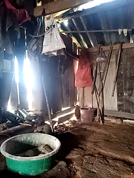 little-effy online show from March 23, 2026, 1:06 am