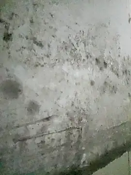 Snapshot of ROSE099 chatting on February 27, 2026, 8:25 am ROSE099 online show from February 27, 2026, 8:25 am