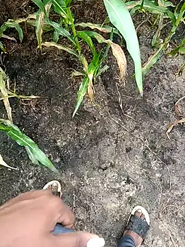 loki-king-143 online show from February 24, 2026, 4:02 am