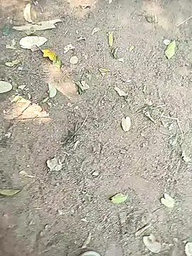 loki-king-143 online show from January 13, 2026, 5:55 am